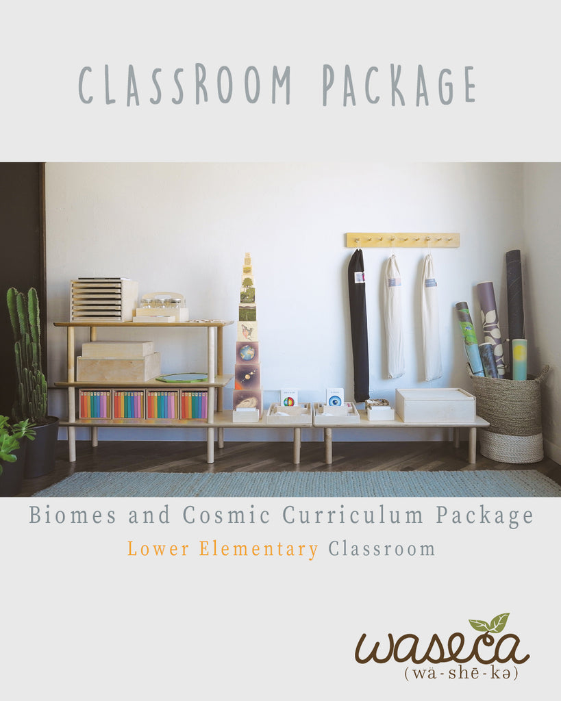 BIOMES AND COSMIC CURRICULUM PACKAGE-LOWER ELEMENTARY CLASSROOM