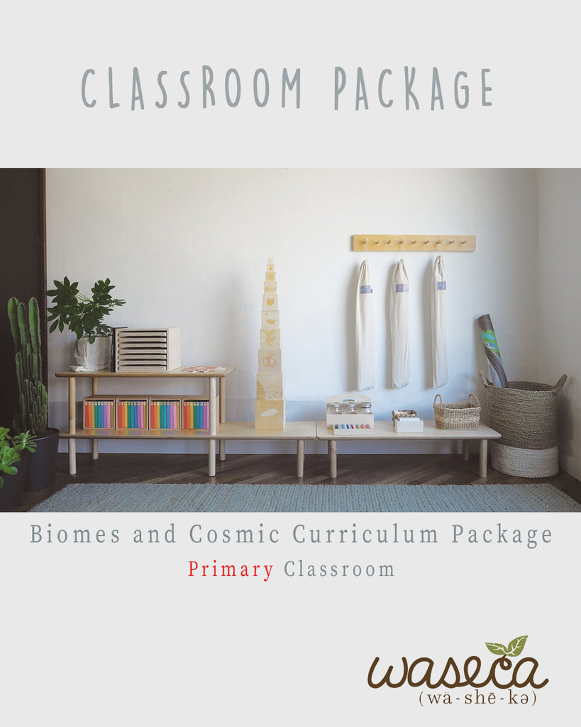 BIOMES AND COSMIC CURRICULUM PACKAGE- PRIMARY