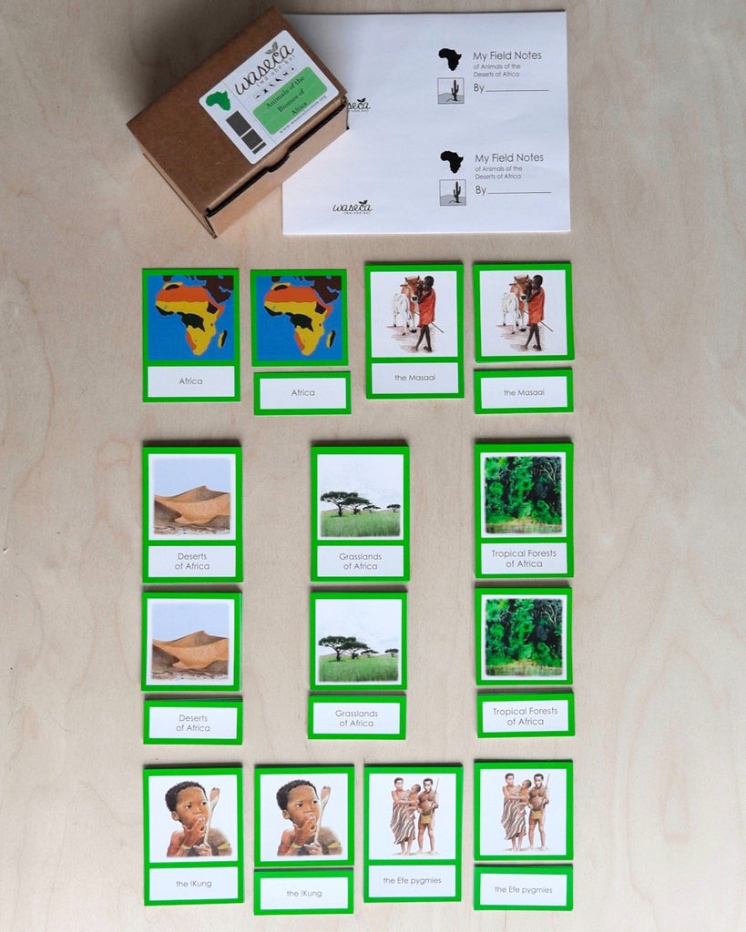 Africa Biome Cards-Primary