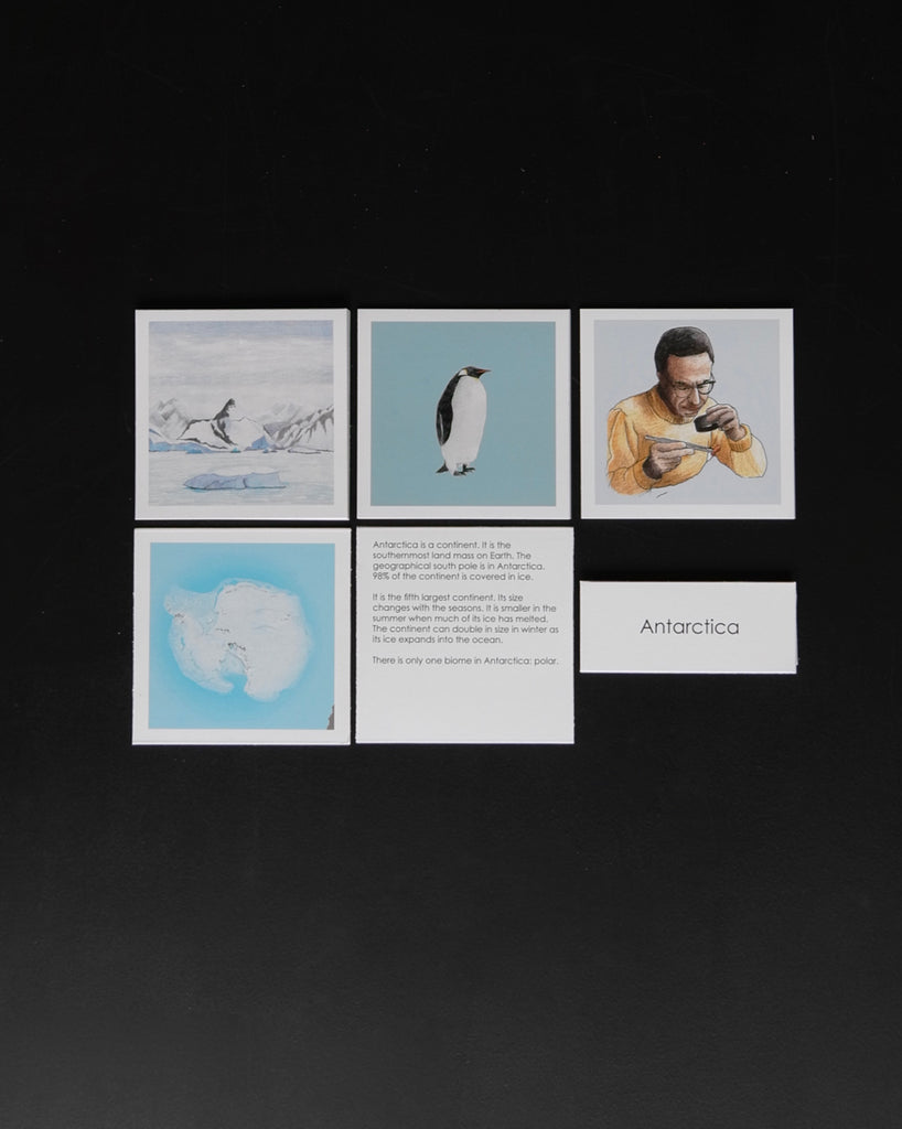 Antarctica Biome Cards-Elementary