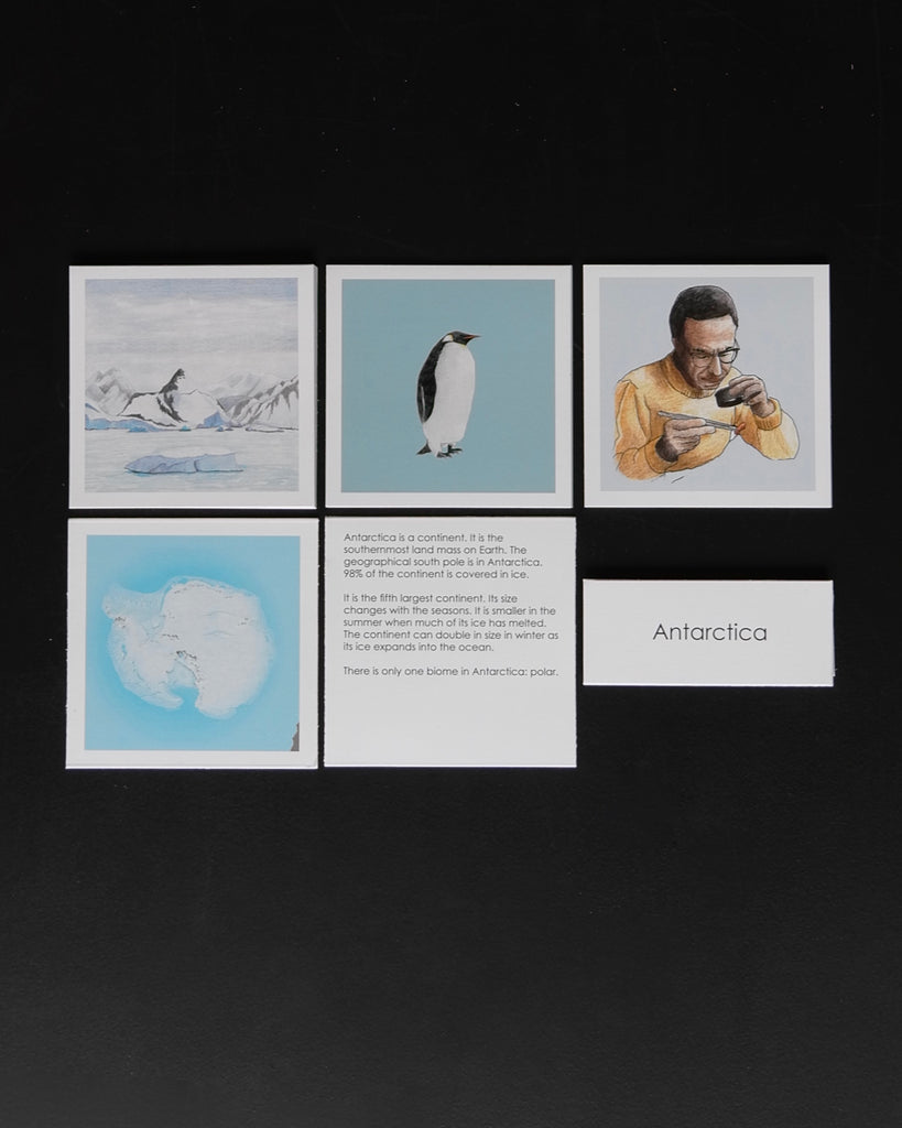 Antarctica Biome Cards-Elementary