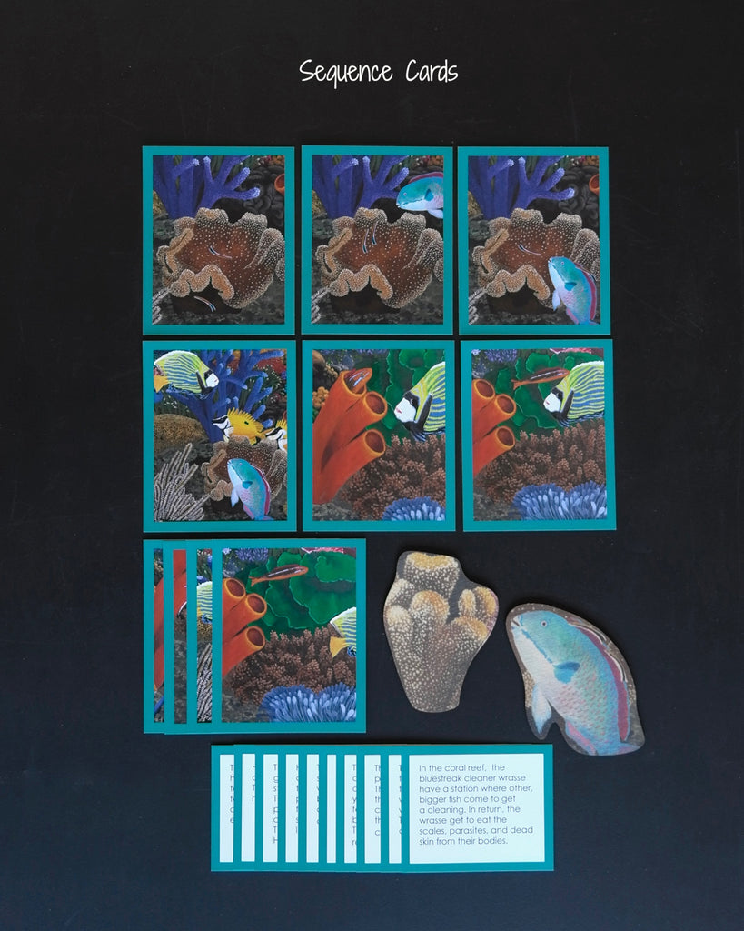 Coral Reef Habitat Mat-story cards