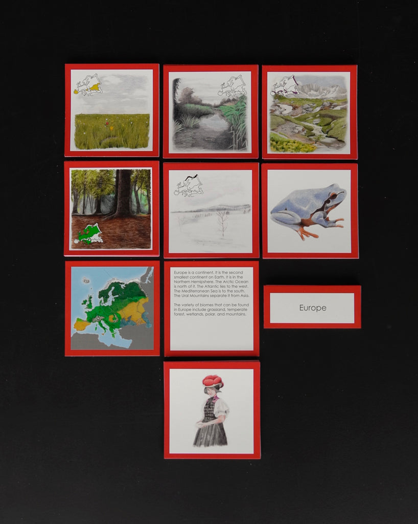 Europe Biome Cards-Elementary