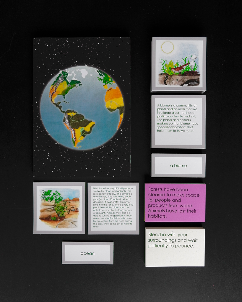 A Introduction to the Biomes Curriculum–Elementary