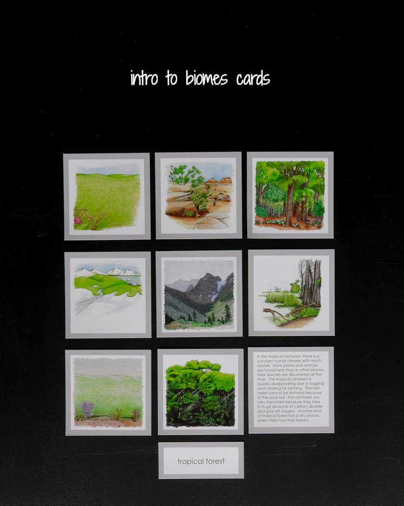 A Introduction to the Biomes Curriculum–Elementary