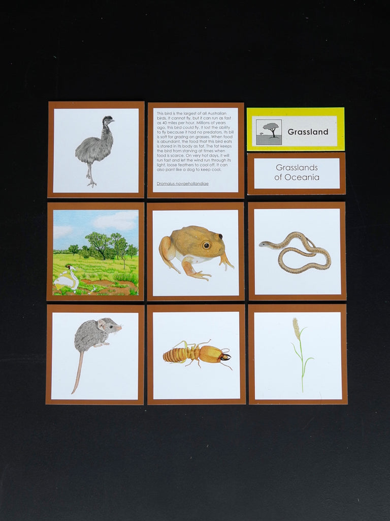 Oceania Biome Cards-Elementary