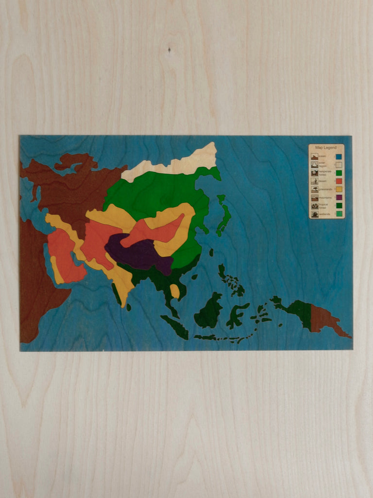 Asia Biome Puzzle