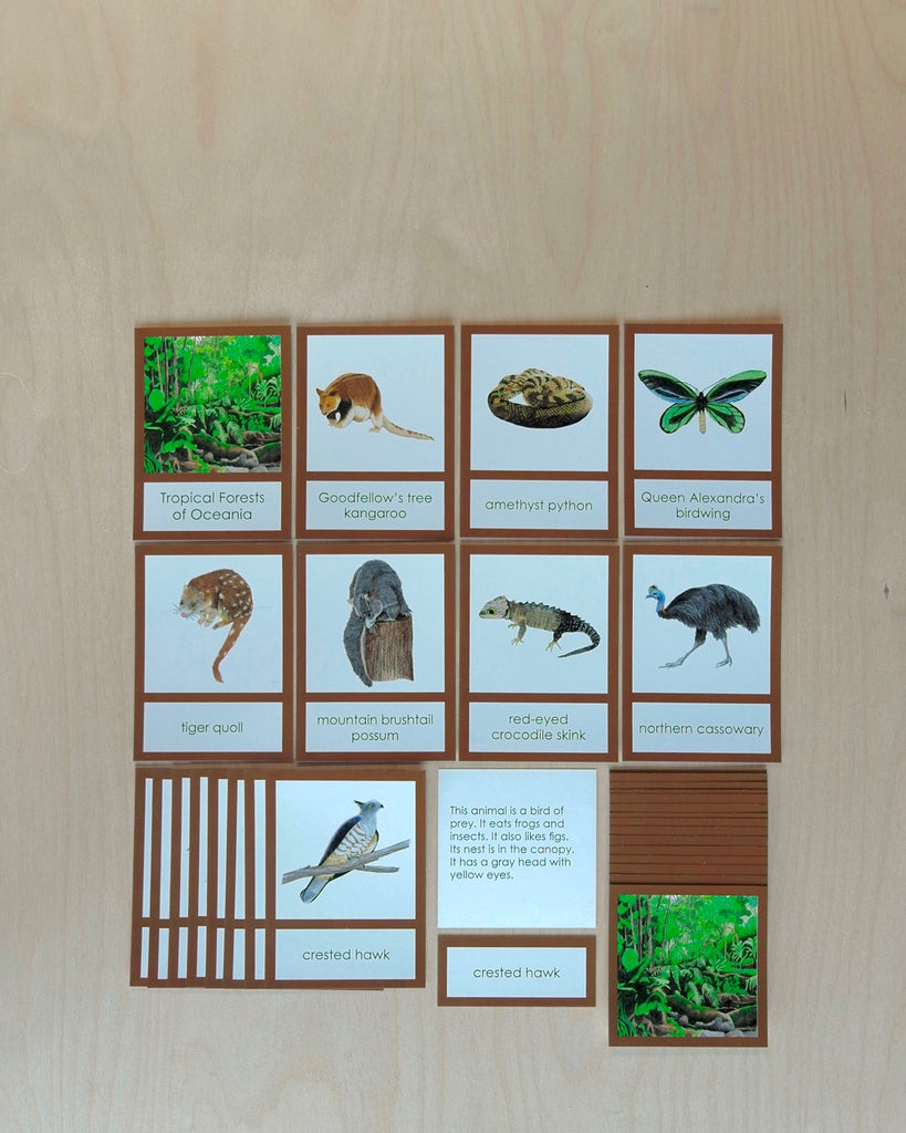 Oceania Biome Cards-Primary