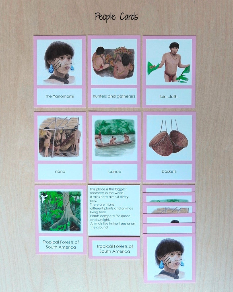 South America Biome Cards-Primary