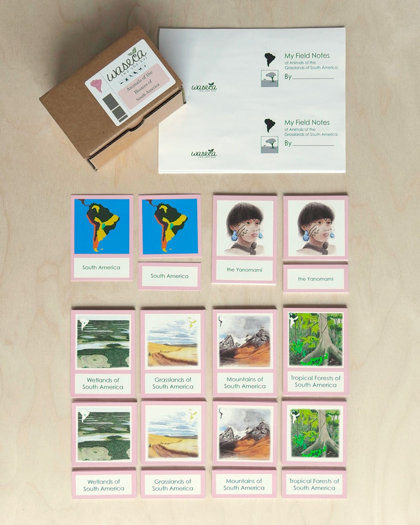 South America Biome Cards-Primary