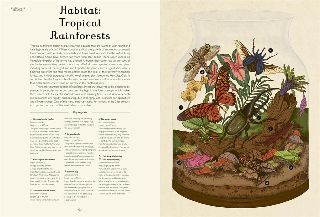Insectarium