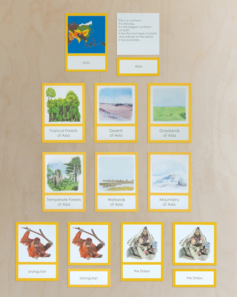 Asia Biome Cards-Primary