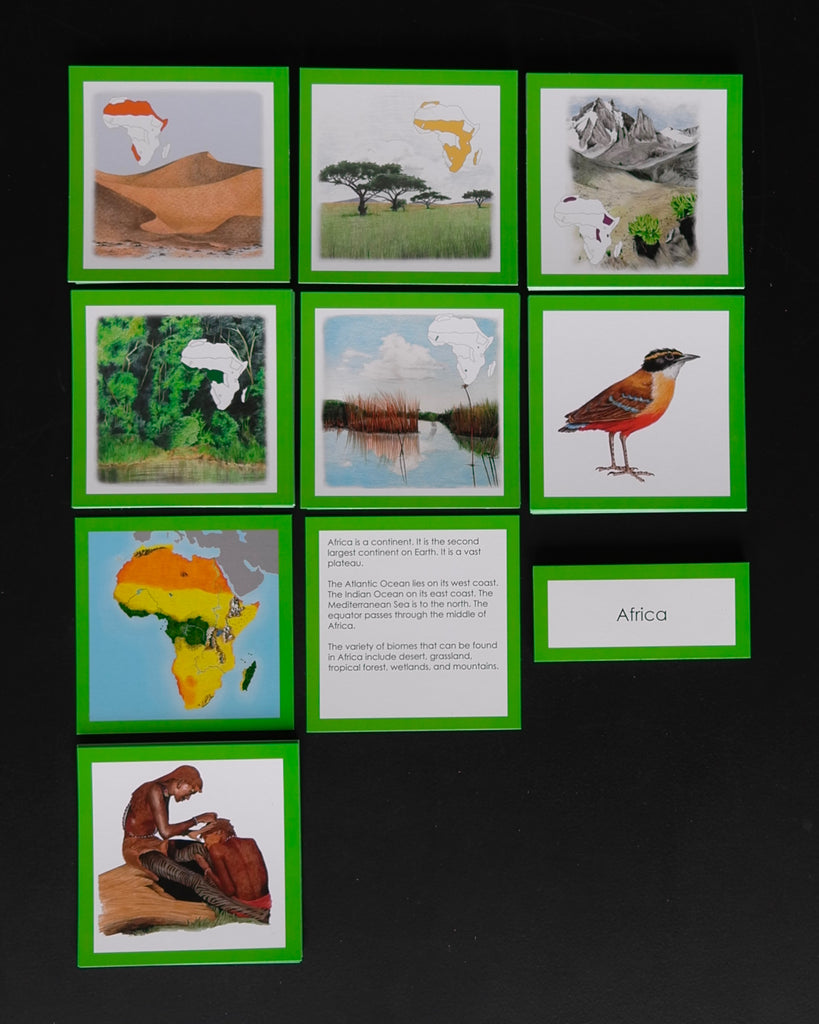 Africa Biome Cards-Elementary