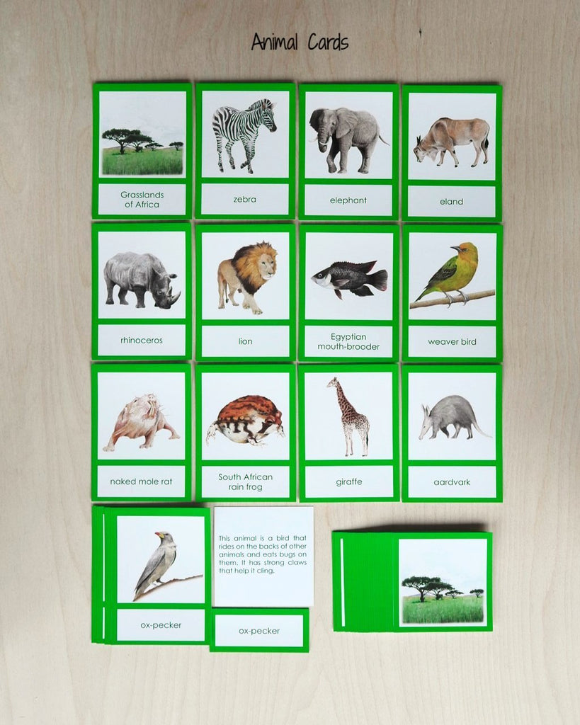 Biome Cards.pdf Africa Biome Cards-Primary | wasecabiomes