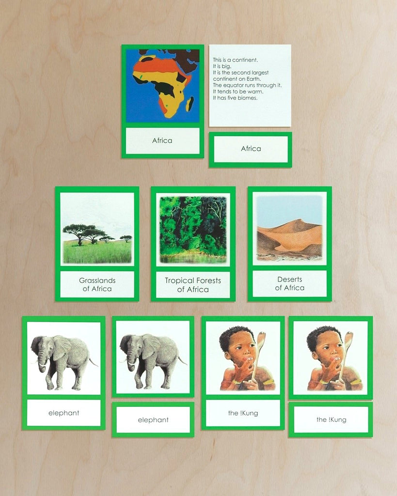 Africa Biome Cards-Primary