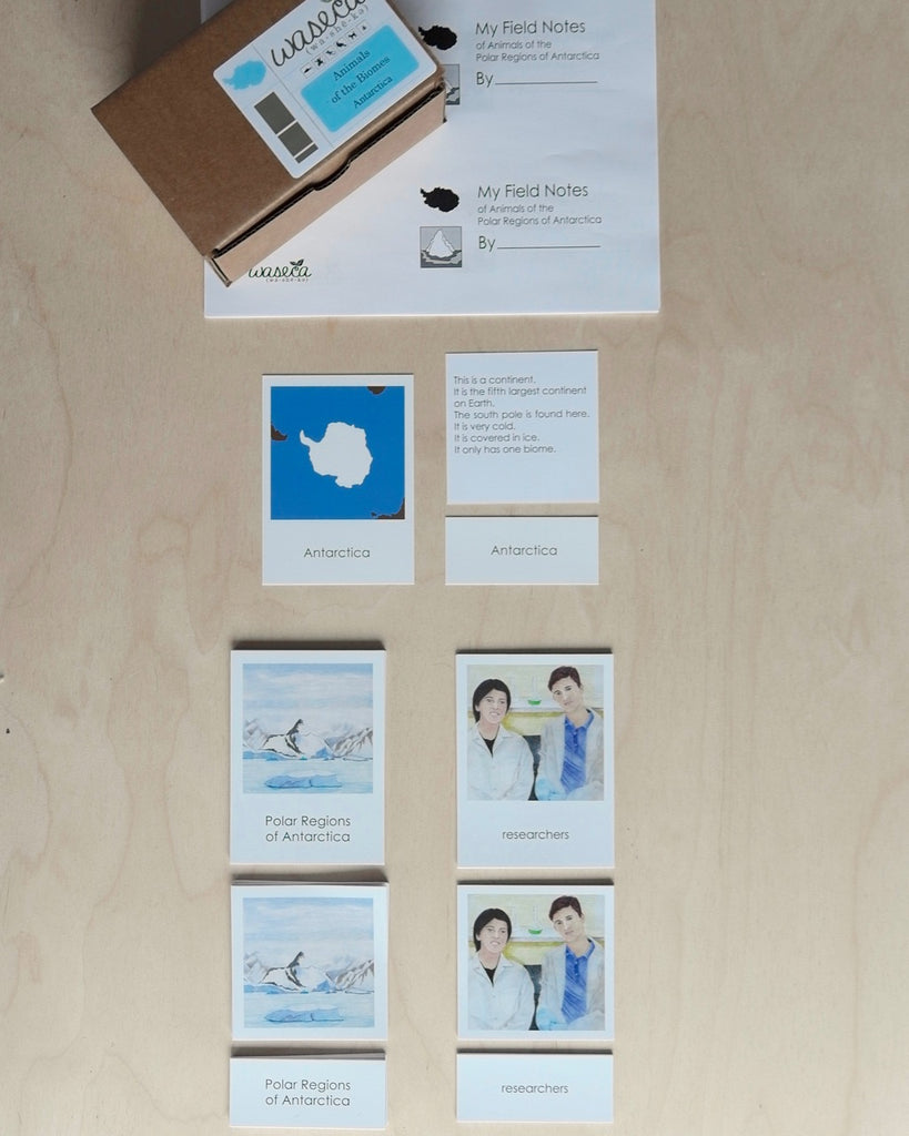 Biome Cards.pdf Complete Set of Continent Biome Cards–Primary | wasecabiomes