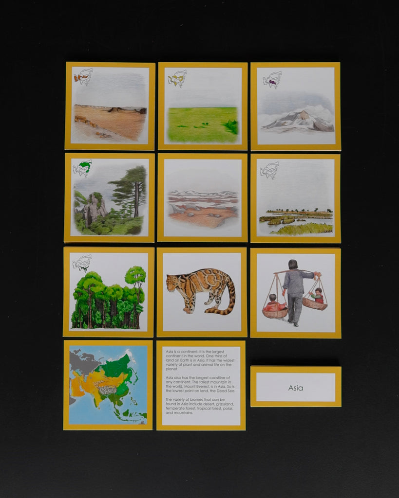Biome Cards.pdf Complete Set of Continent Biome Cards–Elementary | wasecabiomes