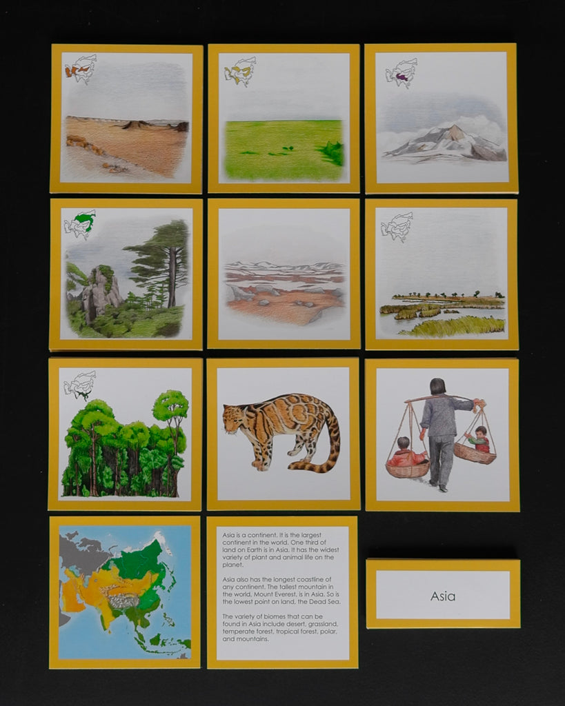 Asia Biome Cards-Elementary