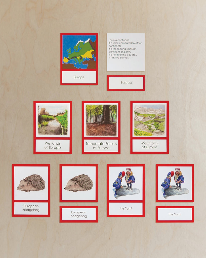 Europe Biome Cards-Primary