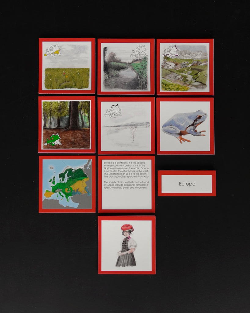 Biome Cards.pdf Complete Set of Continent Biome Cards–Elementary | wasecabiomes