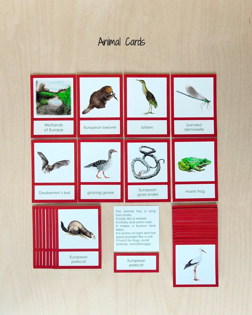 Biome Cards.pdf Europe Biome Cards-Primary | wasecabiomes