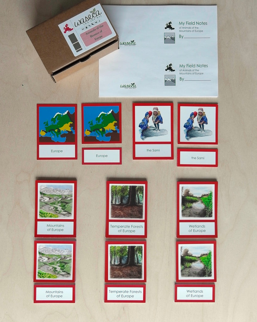 Biome Cards.pdf Complete Set of Continent Biome Cards–Primary | wasecabiomes