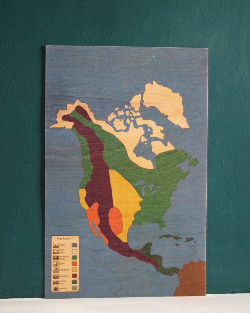 North America Biome Puzzle