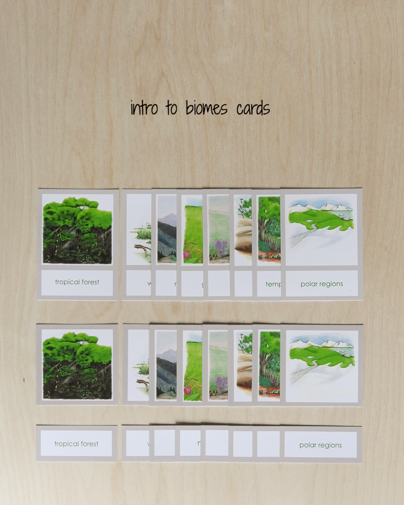 Biome Cards.pdf A Introduction to the Biomes Curriculum–Primary | wasecabiomes