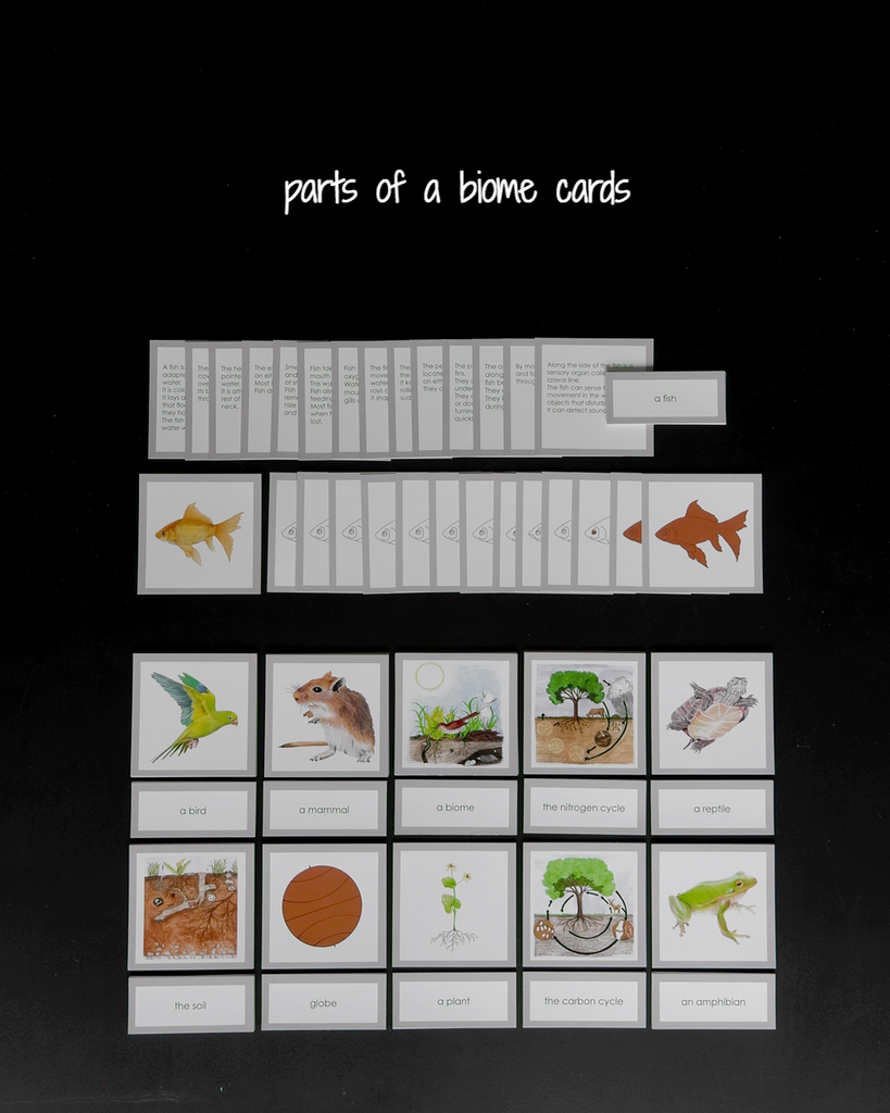 Biome Cards.pdf A Introduction to the Biomes Curriculum–Elementary | wasecabiomes