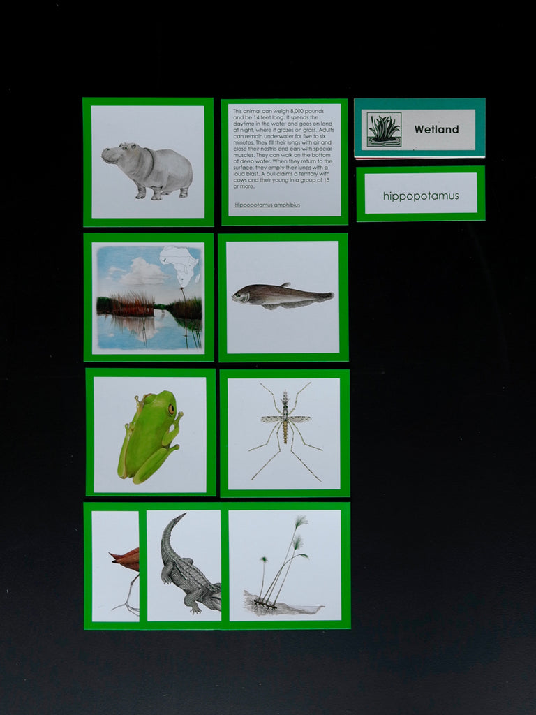 Africa Biome Cards-Elementary