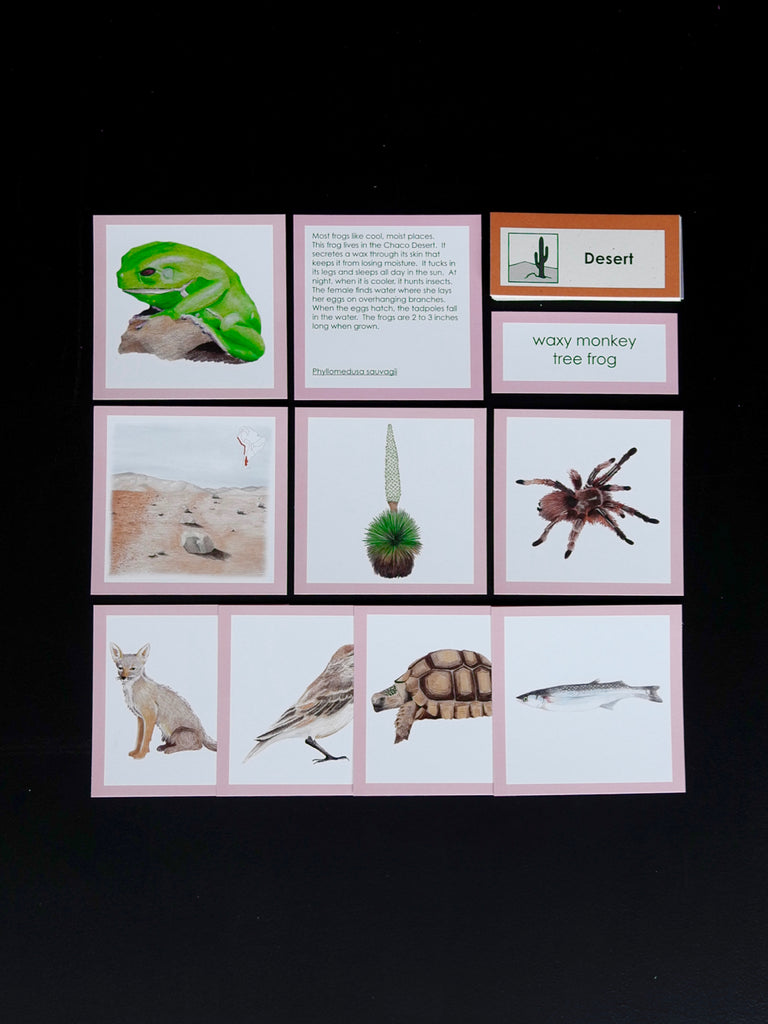 Biome Cards.pdf South America Biome Cards-Elementary | wasecabiomes