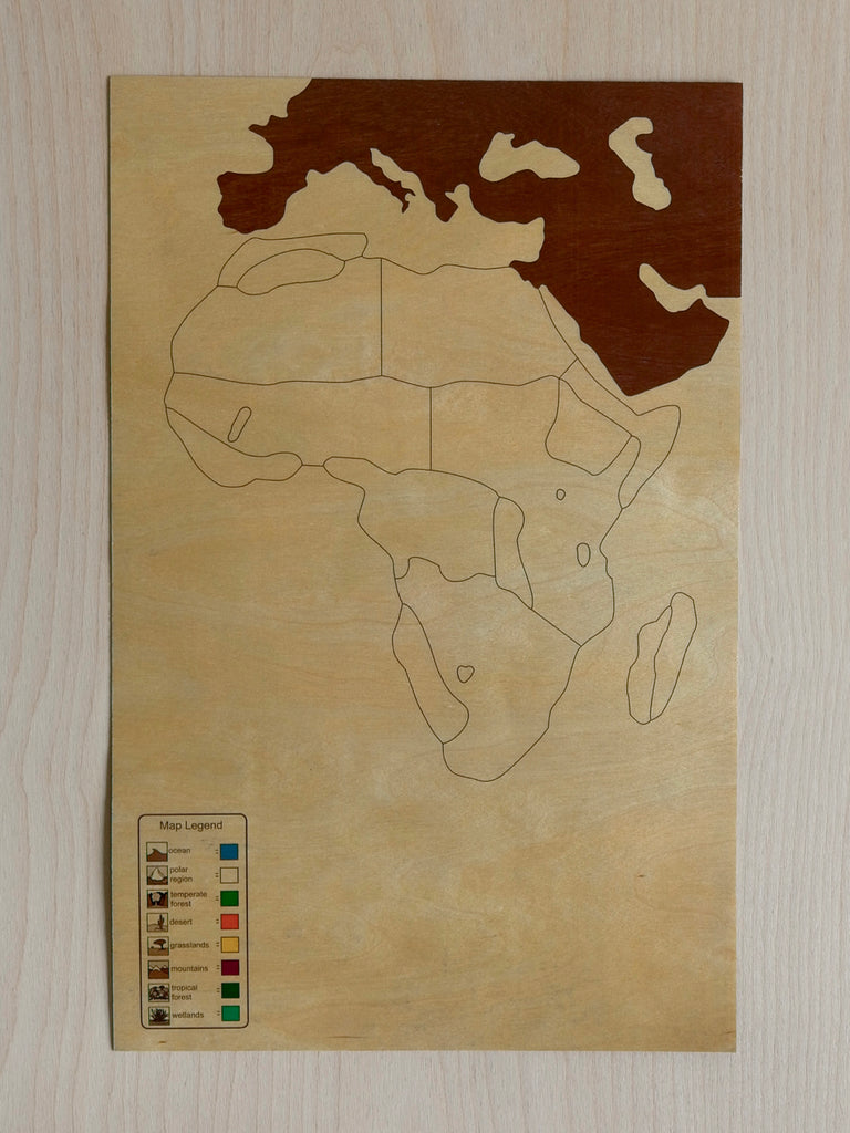 Africa Biome Puzzle