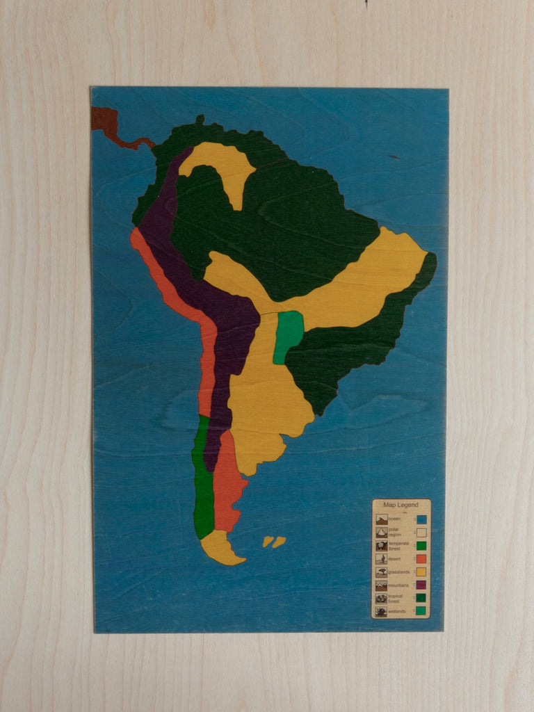 South America Biome Puzzle