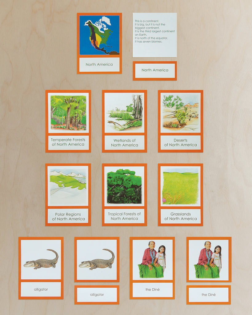 North America Biome Cards-Primary