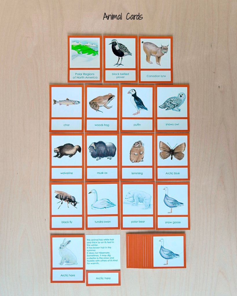 Biome Cards.pdf North America Biome Cards-Primary | wasecabiomes