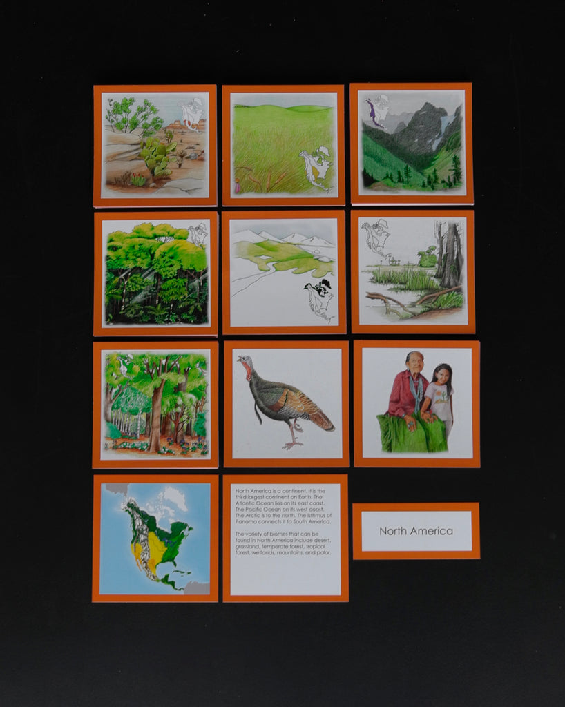 North America Biome Cards-Elementary