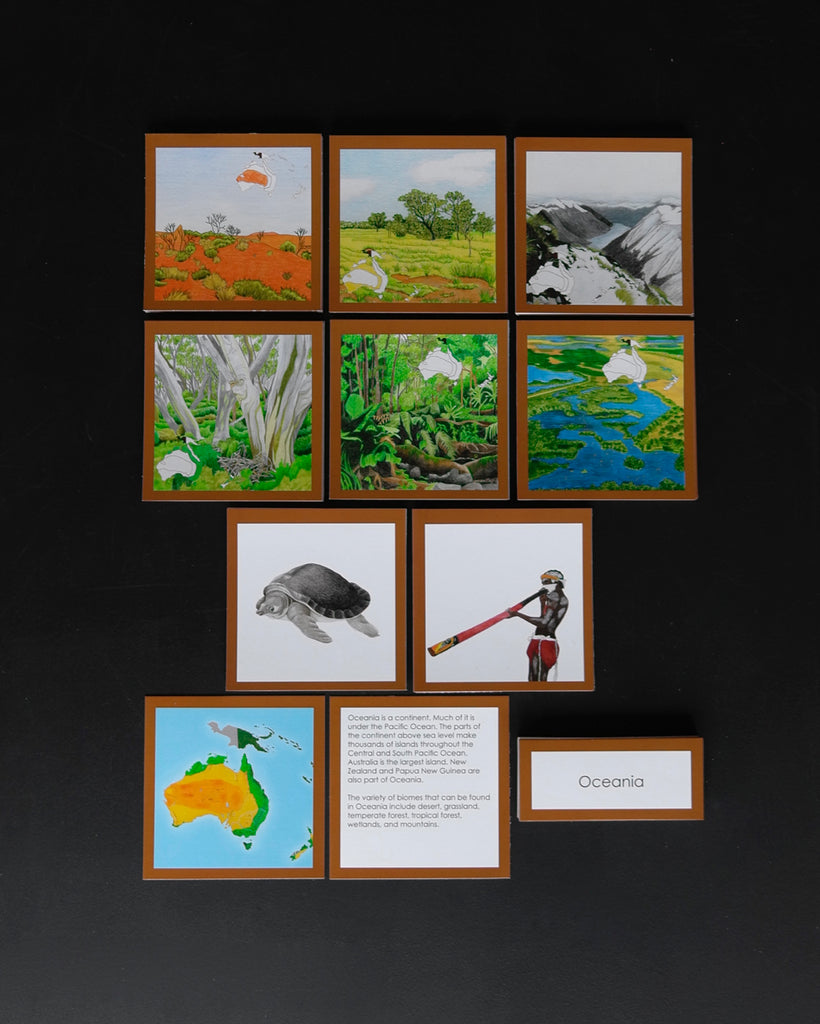 Biome Cards.pdf Complete Set of Continent Biome Cards–Elementary | wasecabiomes