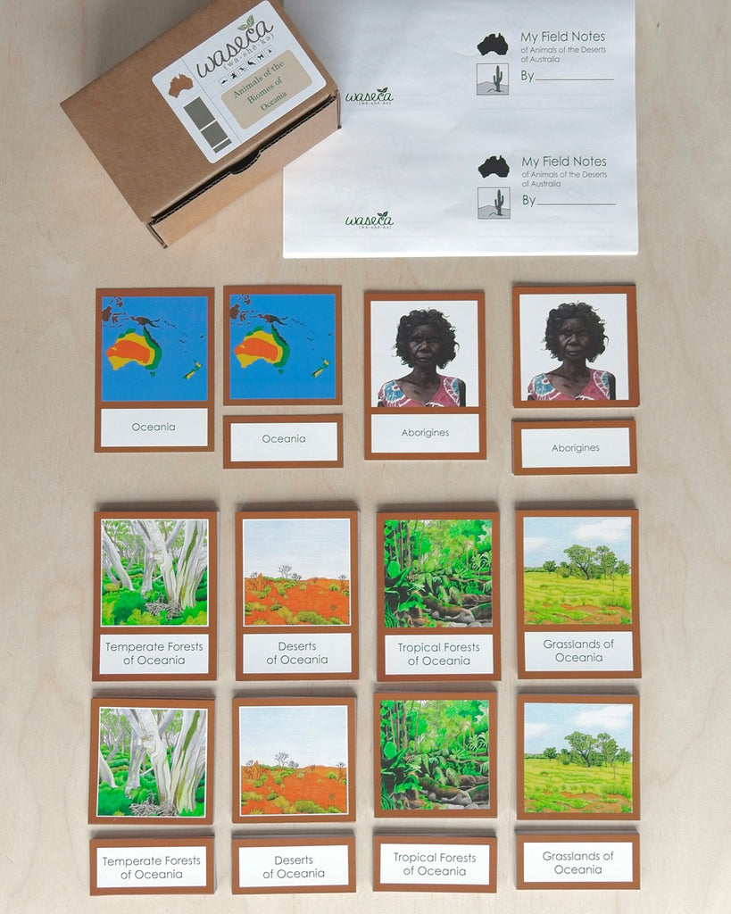 Biome Cards.pdf Complete Set of Continent Biome Cards–Primary | wasecabiomes