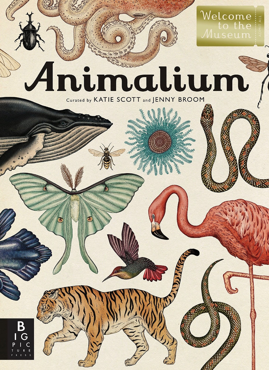 Animalium | wasecabiomes