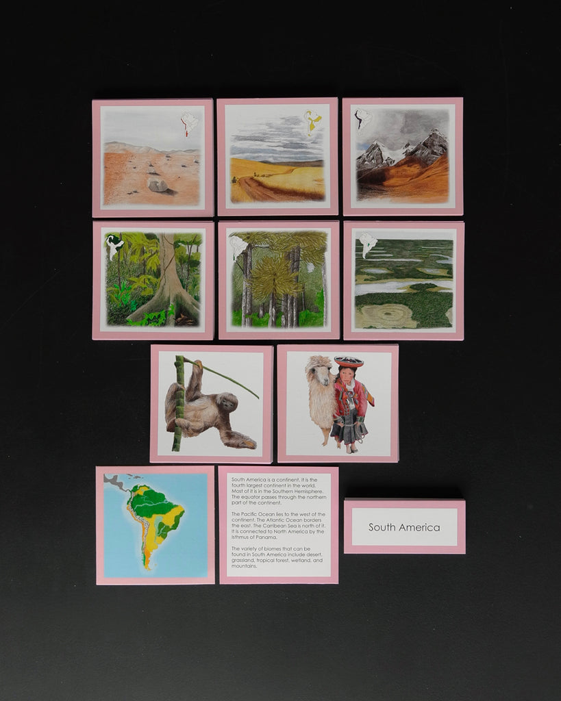 South America Biome Cards-Elementary