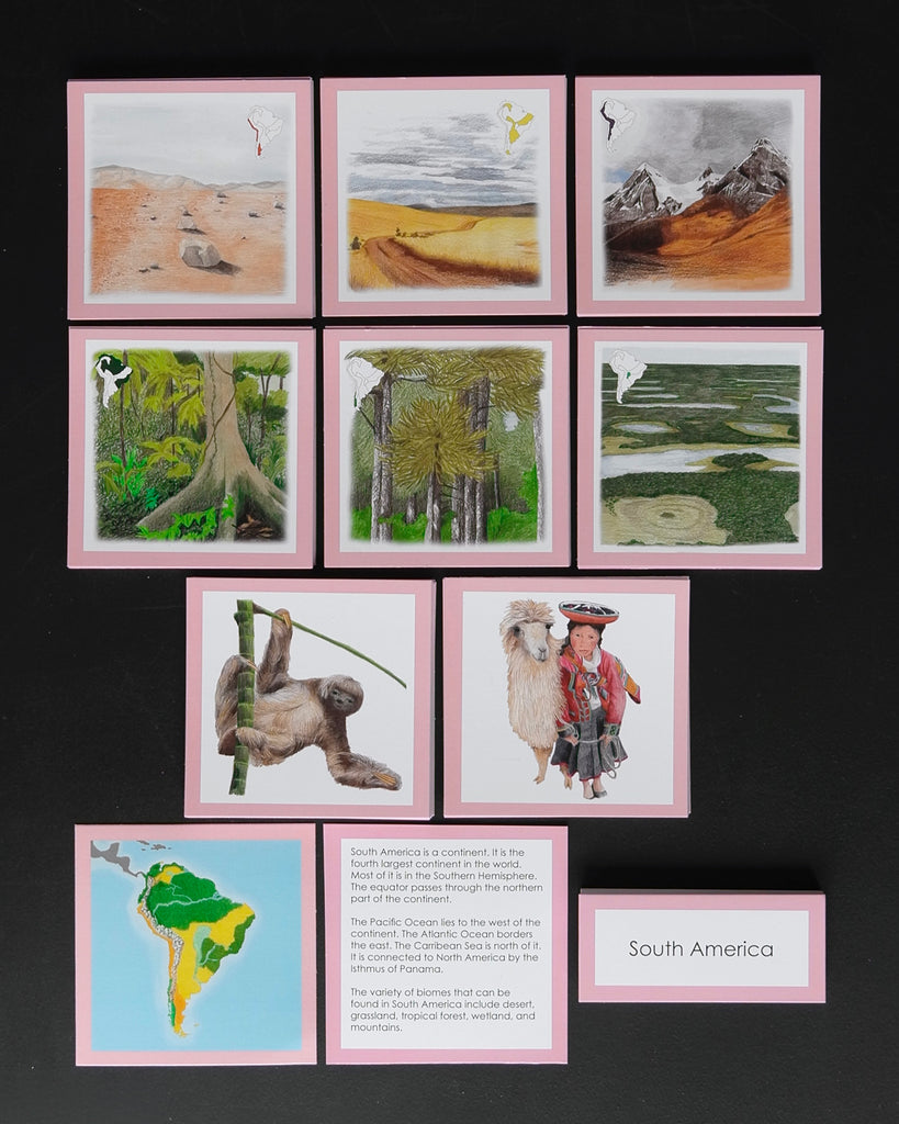 Biome Cards.pdf South America Biome Cards-Elementary | wasecabiomes