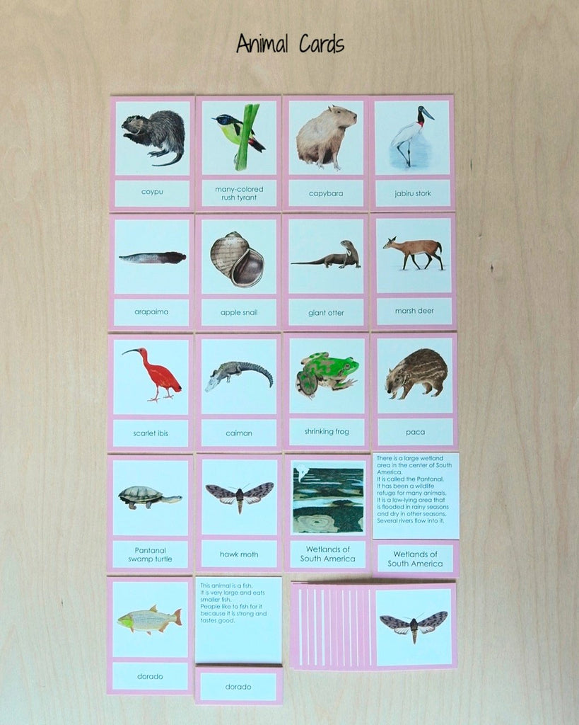 Biome Cards.pdf South America Biome Cards-Primary | wasecabiomes