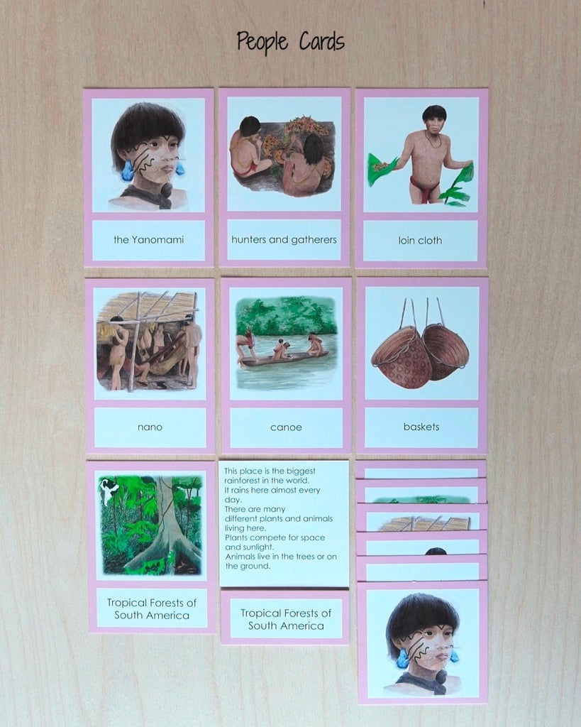 Biome Cards.pdf South America Biome Cards-Primary | wasecabiomes