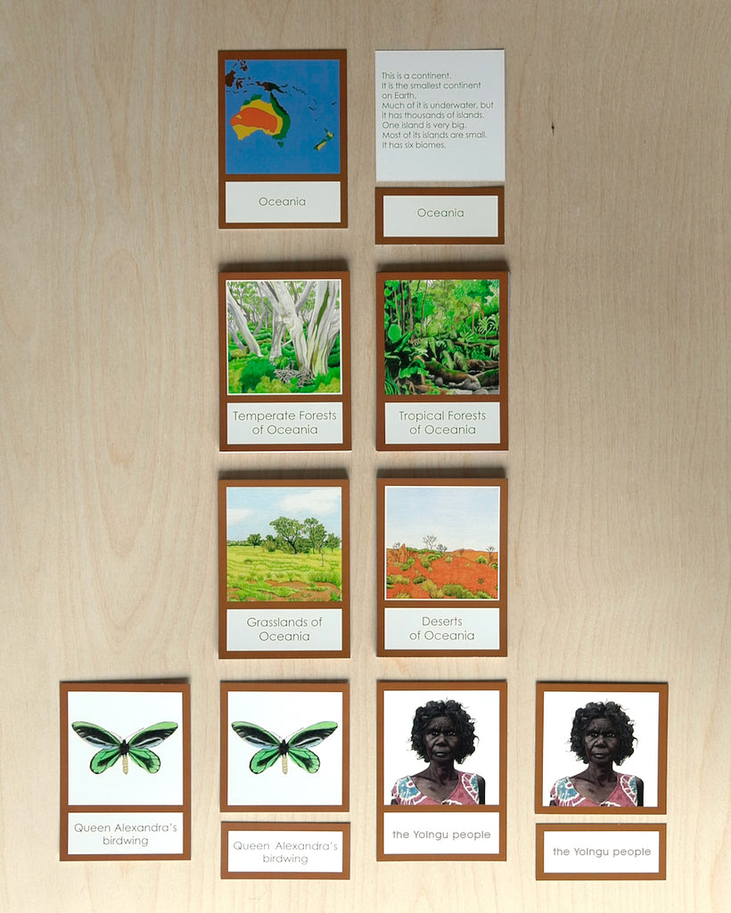 Oceania Biome Cards-Primary