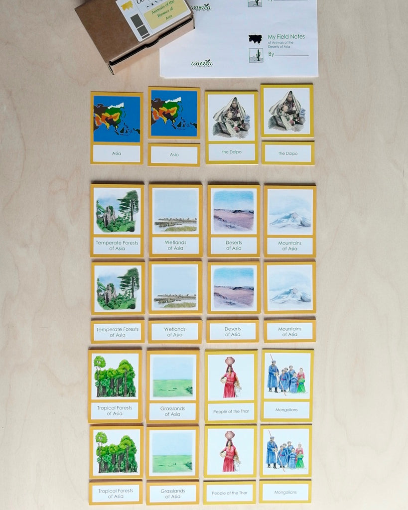 Biome Cards.pdf Complete Set of Continent Biome Cards–Primary | wasecabiomes
