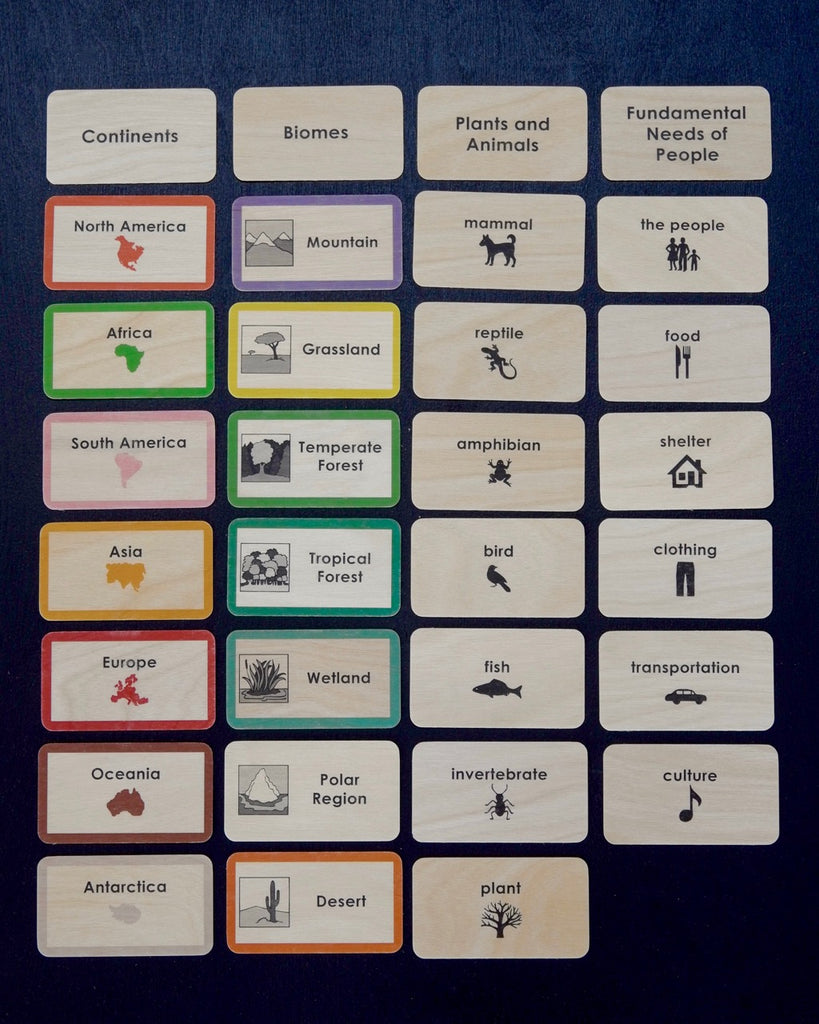 Biome Cards.pdf Complete Set of Continent Biome Cards–Elementary | wasecabiomes