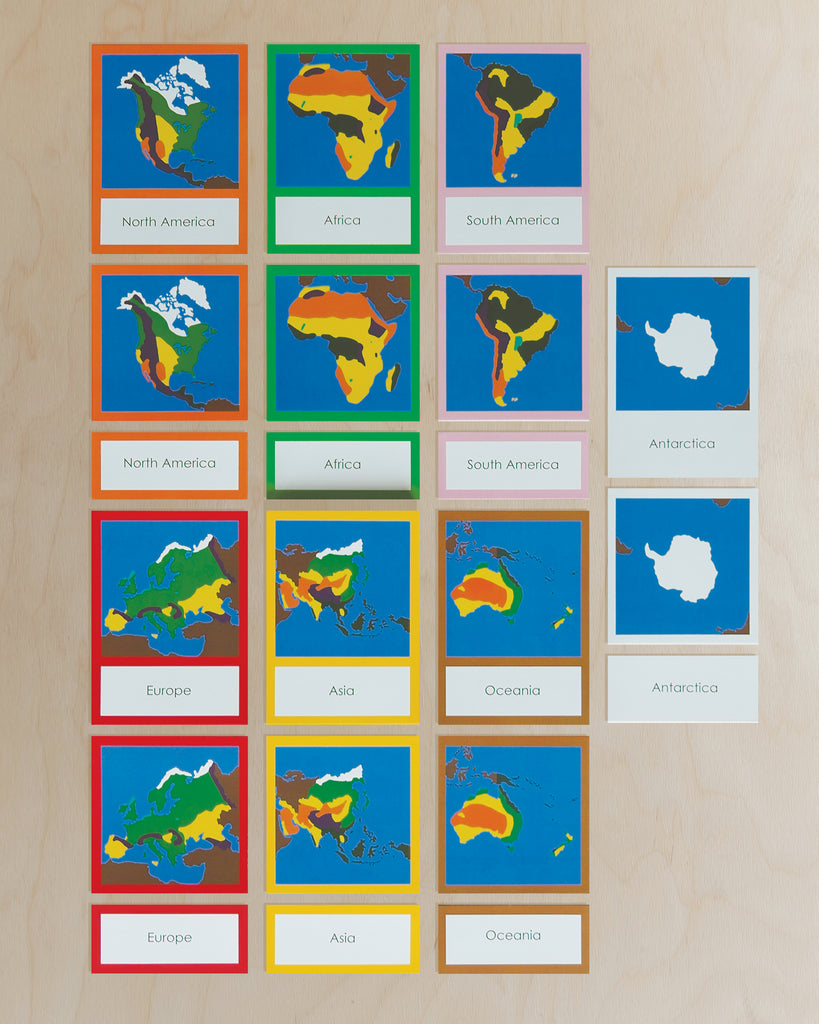 Biome Cards.pdf Complete Set of Continent Biome Cards–Primary | wasecabiomes