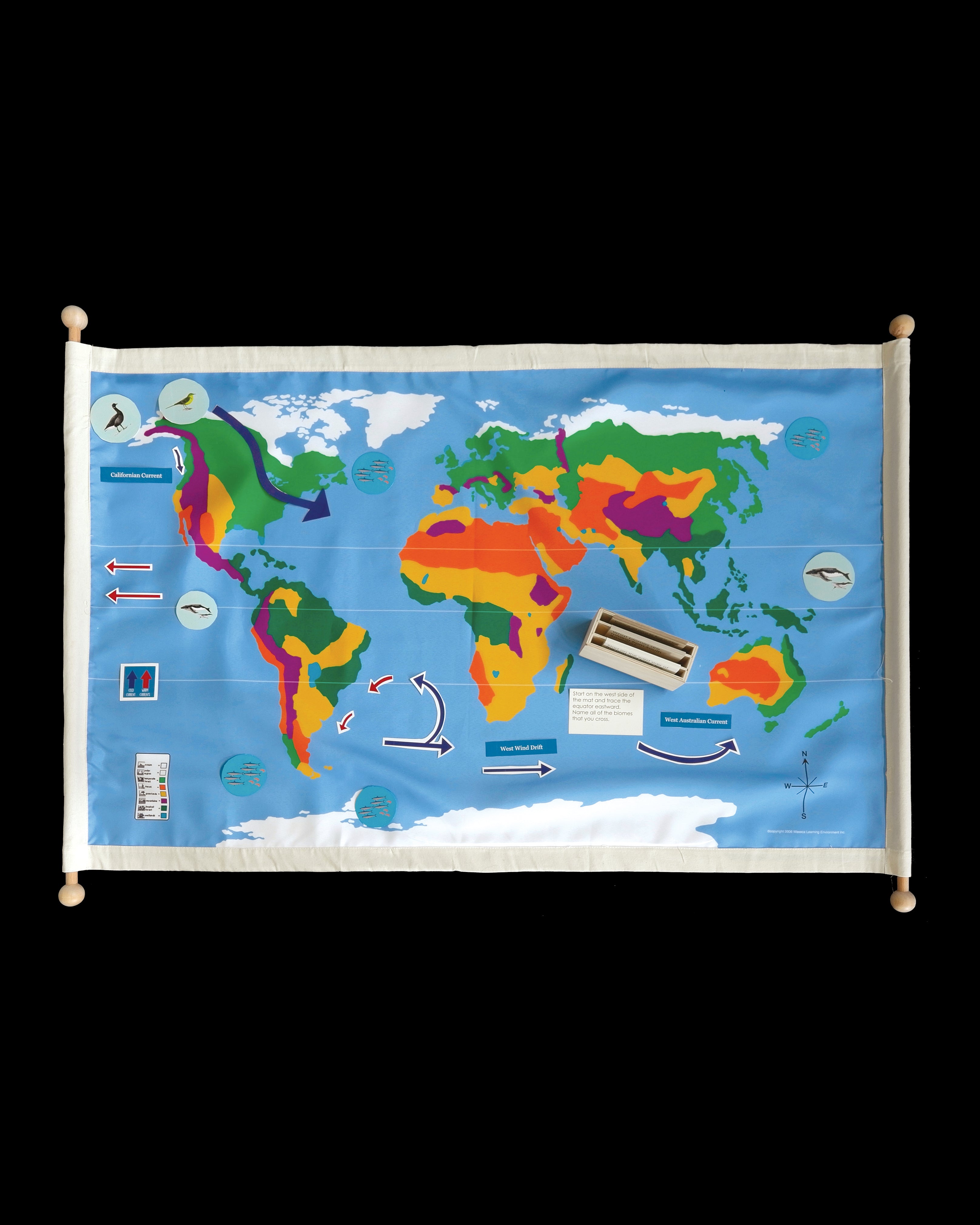 What is a Biome?
